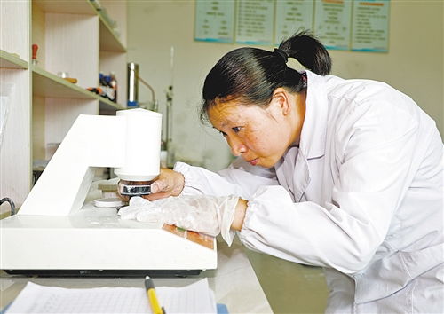 塑尽其能 绿色转型下的技术研发新篇章